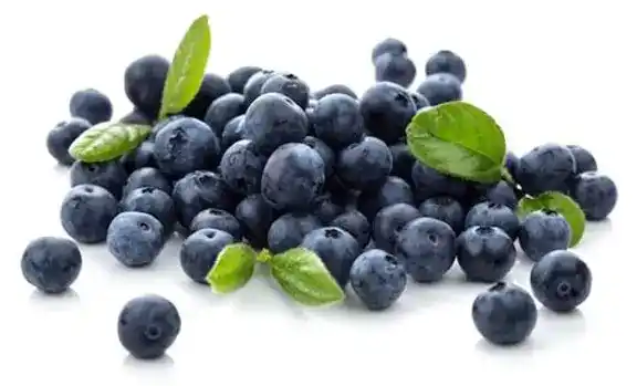 Bilberry Extract